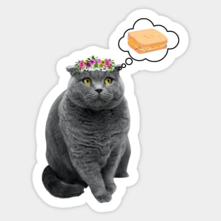 Cute cat wants toast Sticker